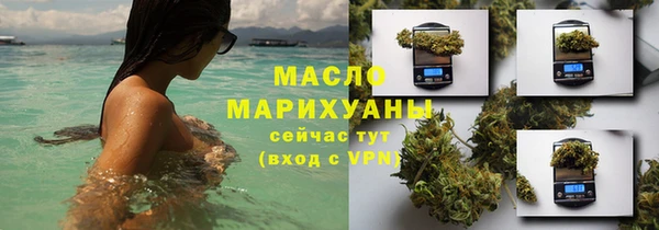 ECSTASY Ельня