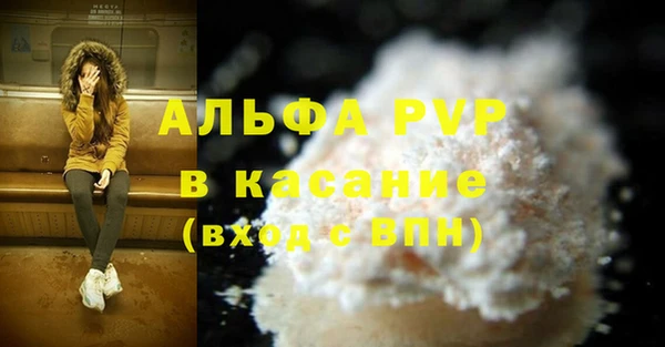 ECSTASY Ельня