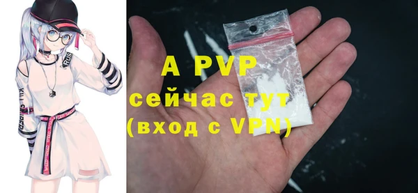 ECSTASY Ельня