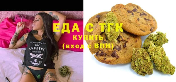 ECSTASY Ельня