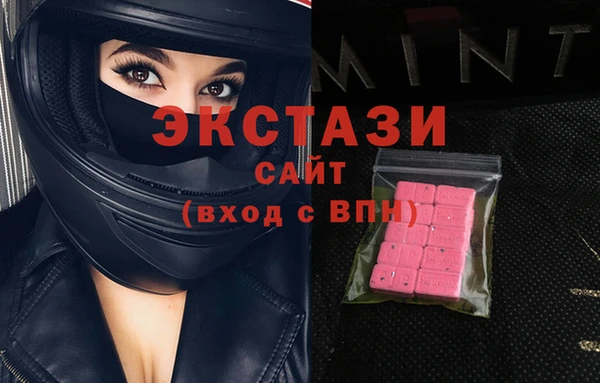 ECSTASY Ельня