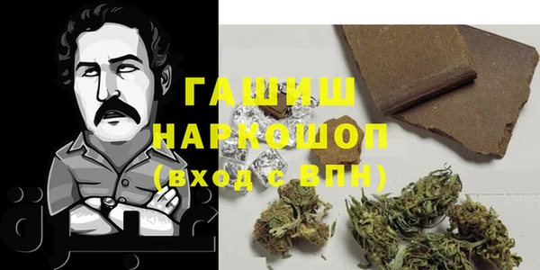 ECSTASY Ельня