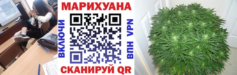 сколько стоит  Альметьевск  Бошки марихуана индика 